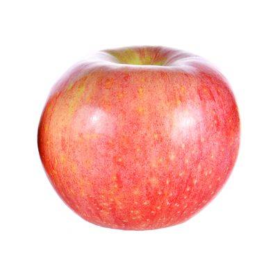 Apple - Fuji