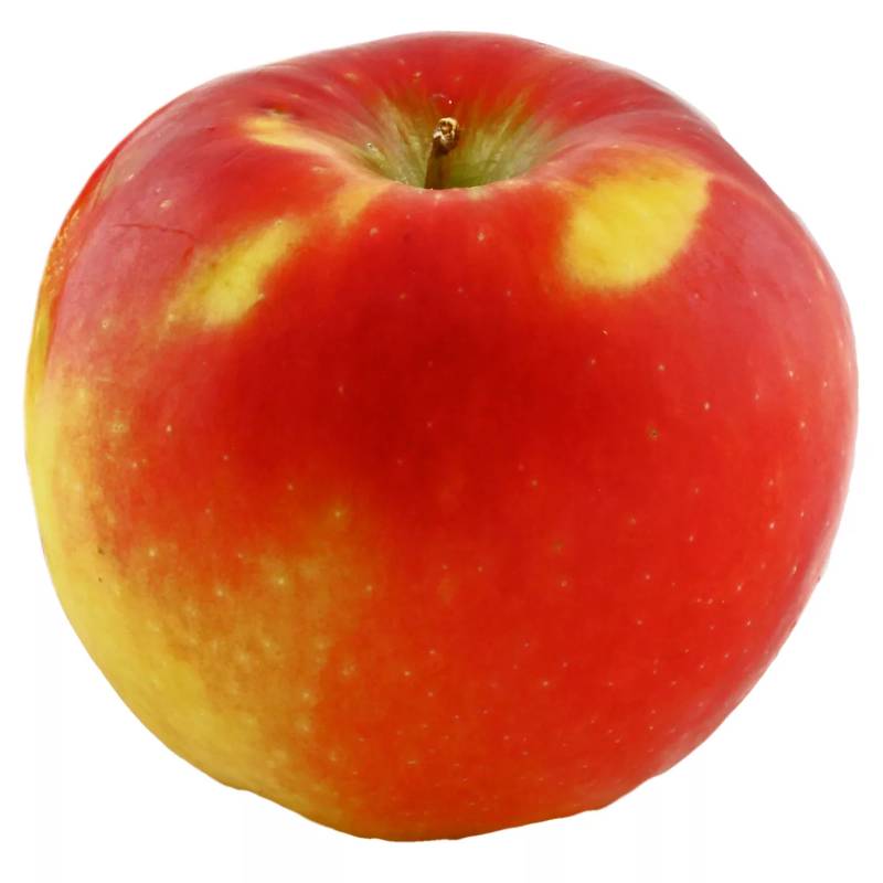 Apple - Kanzi
