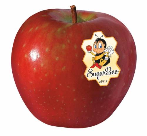 Apple - Sugarbee