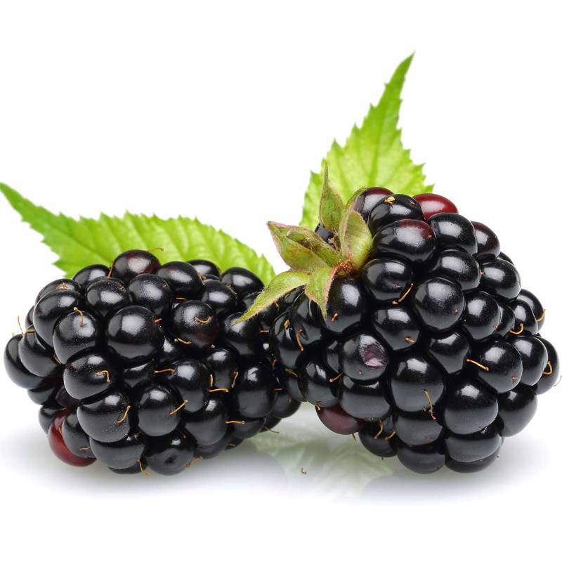 Blackberries - 6OZ