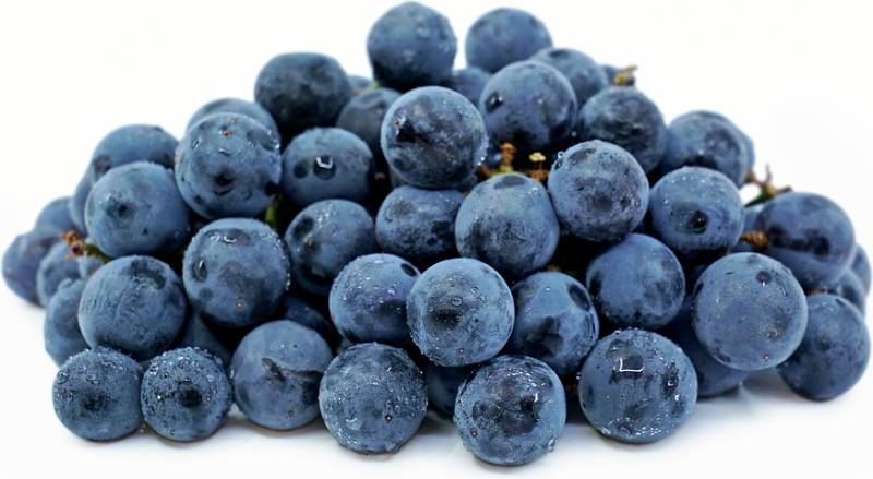Grape - Concord 1lb