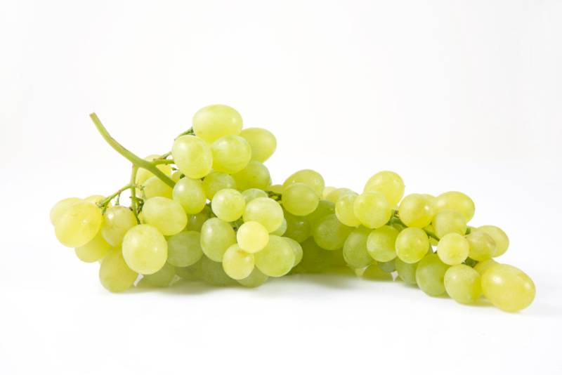 Grape - Green Ivory - 2lb