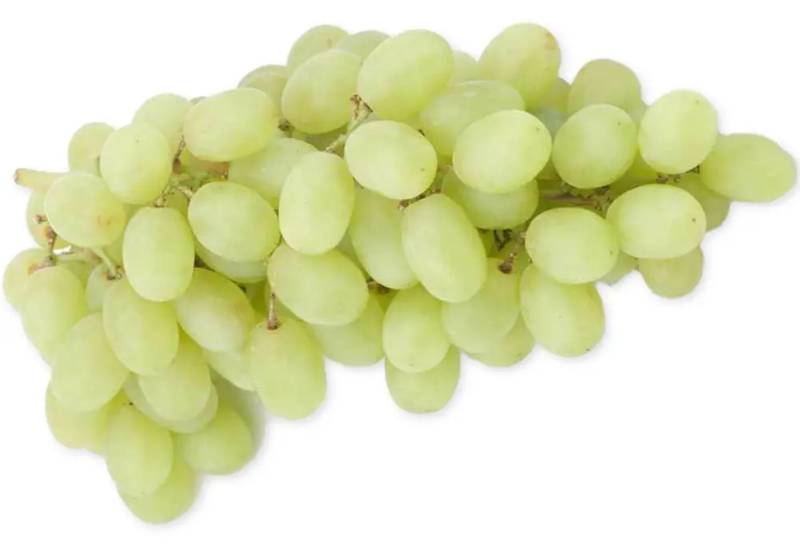 Grape - Thompson 1lb