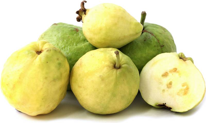 Guava - Mexican