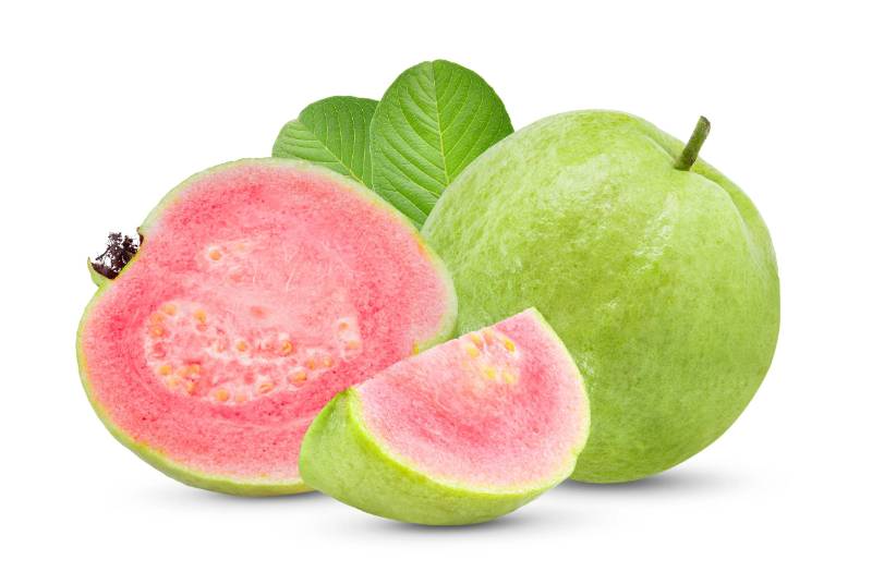 Guava - Taiwan Extra Large