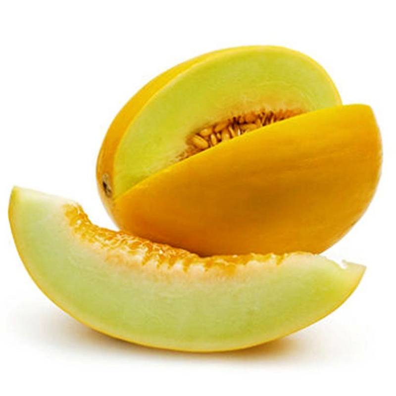 Honeydew Melon - Golden Sweet - Whole
