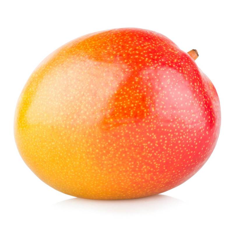 Mango - Kent