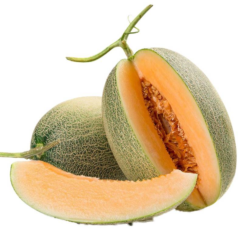Melon - Hami - Whole