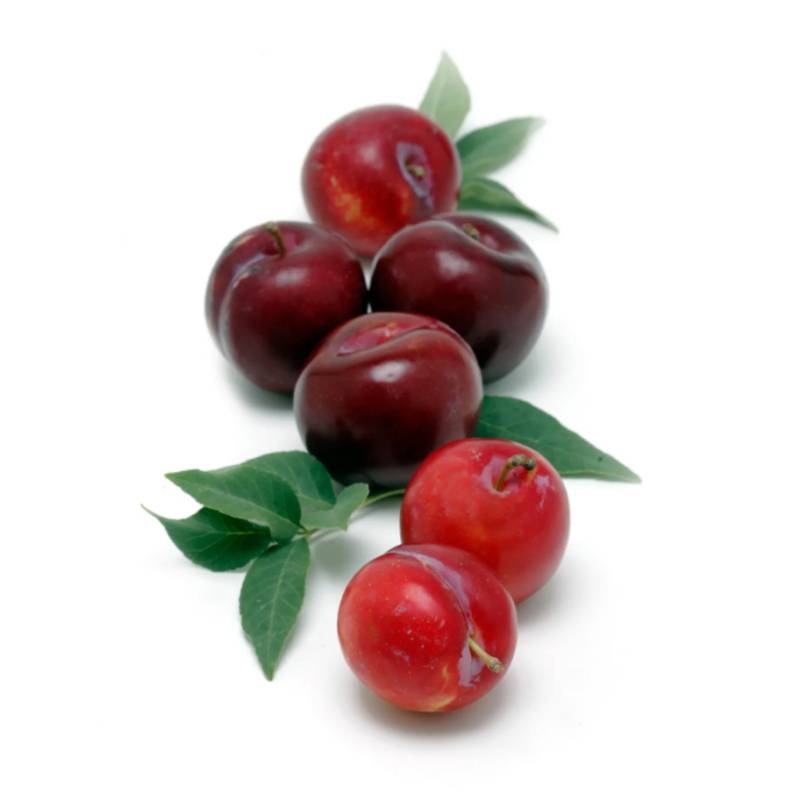 Plumcot - Cherry - 1lb