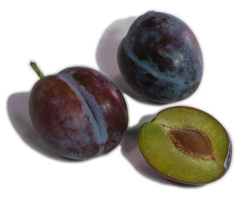 Plum - Prune - 1lb