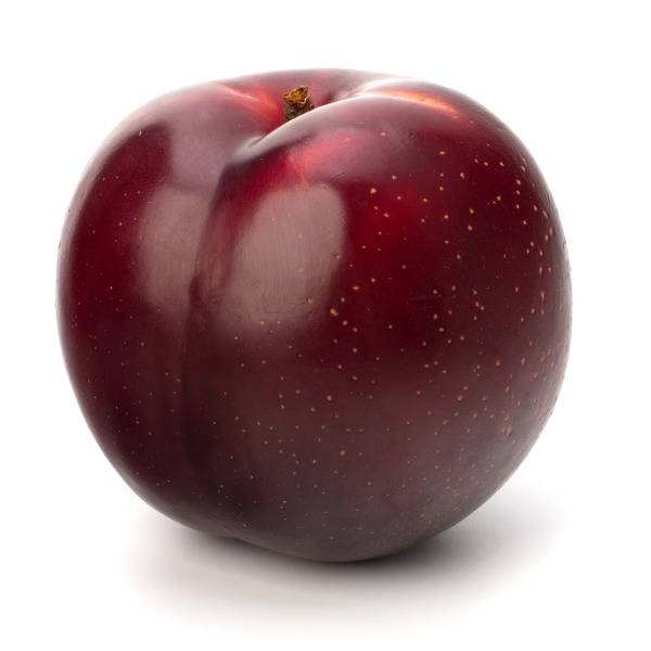 Plum - Red - 1lb
