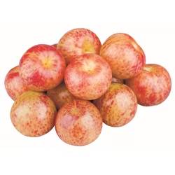 Plum - Strawberry - 1lb