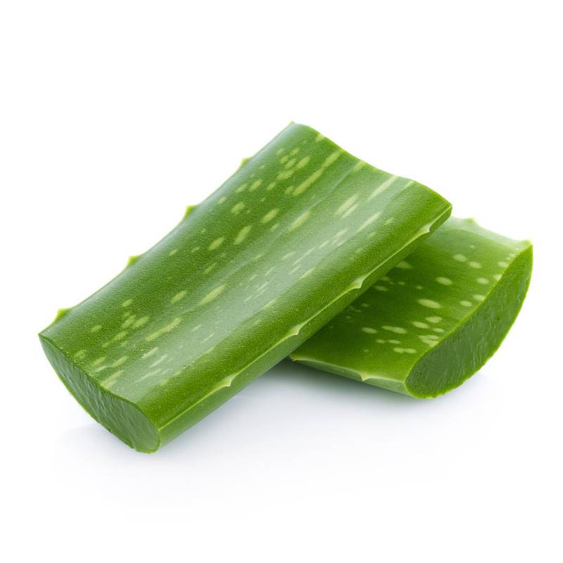 Aloe