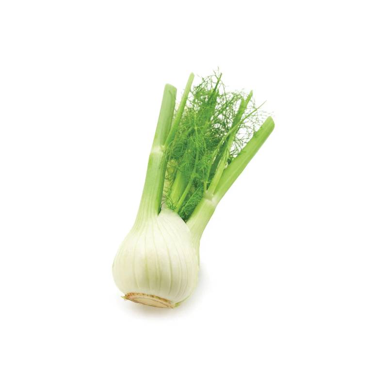Anise