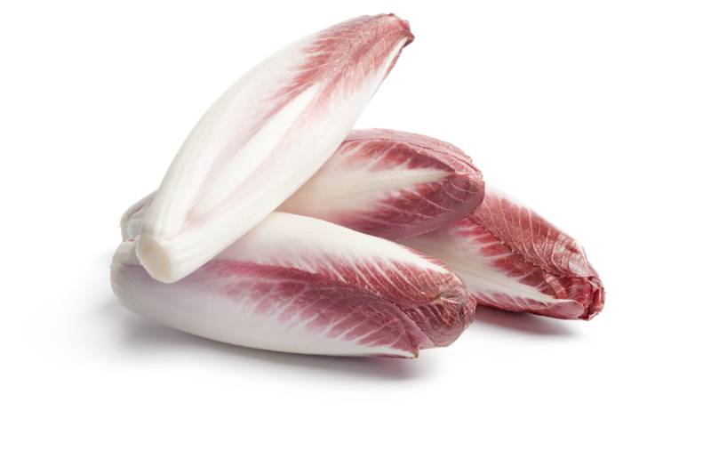 Belgian Endive - Red - 1lb