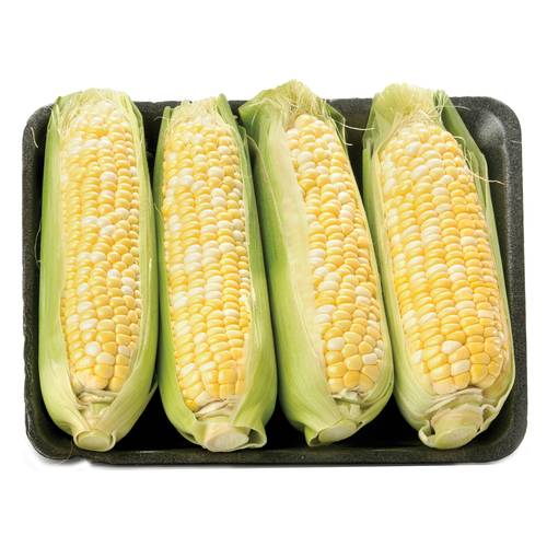 Corn - 4 Pack