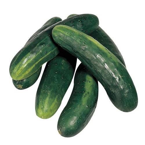 Cucumber