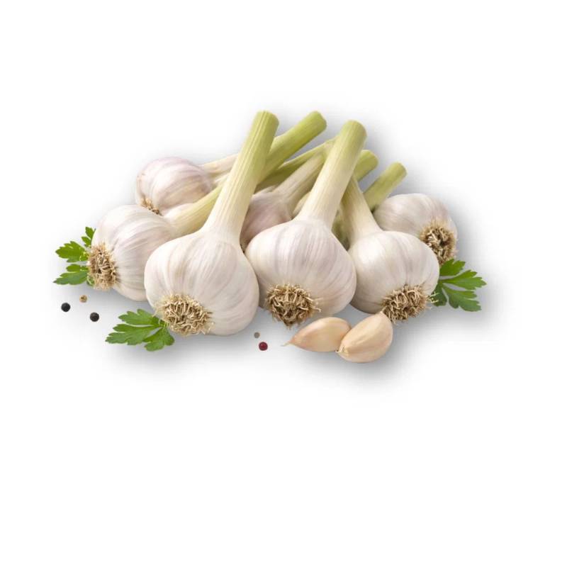 Garlic - Egypt - 1lb