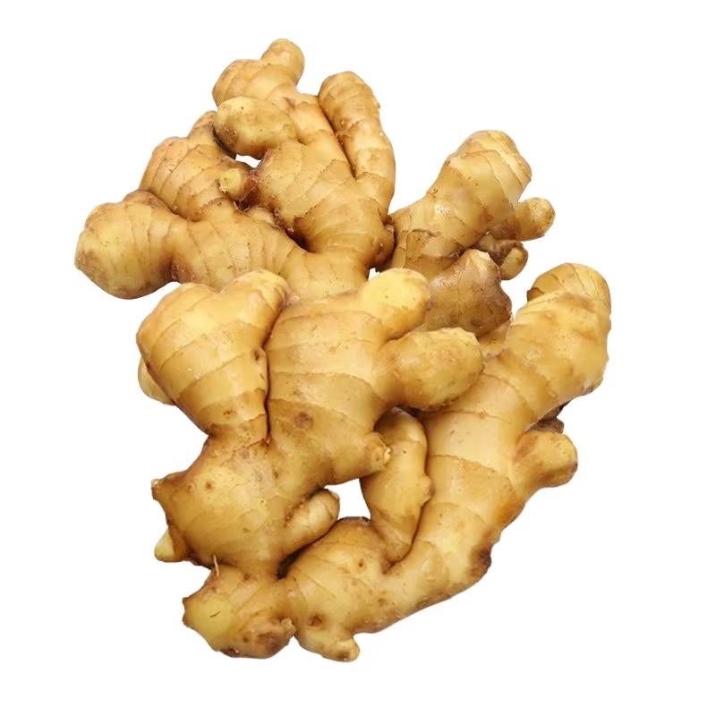 Ginger - Chinese Premium - 1.5lb