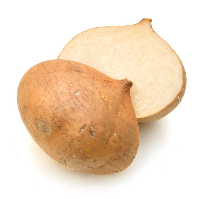 Jicama - bulk - single