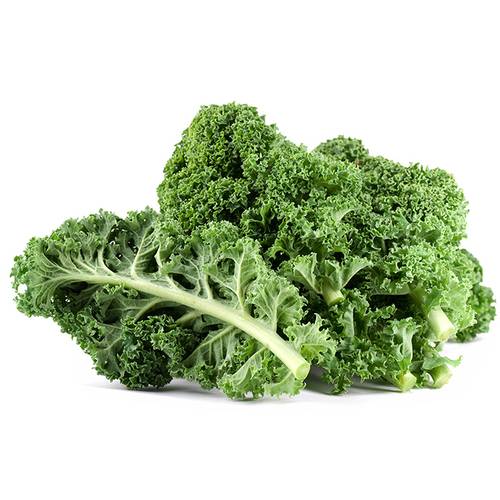 Kale - Green Bunched