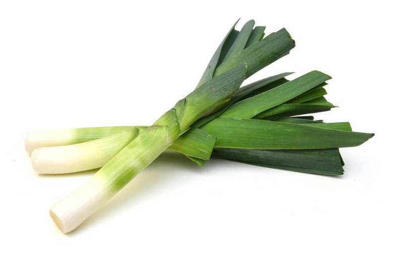 Leek - stalk