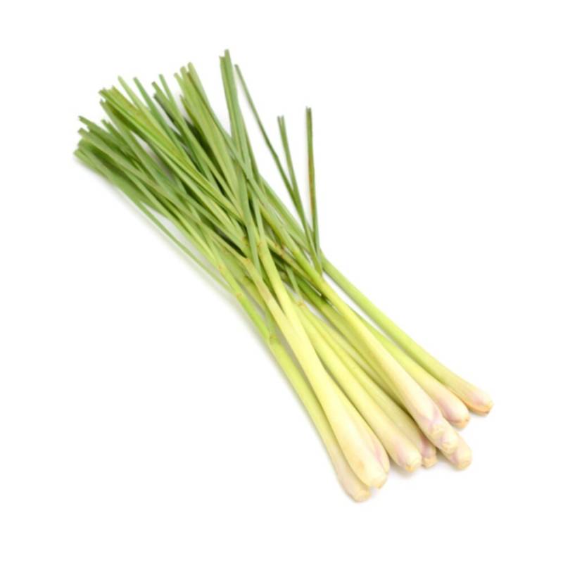 Lemongrass - stalk