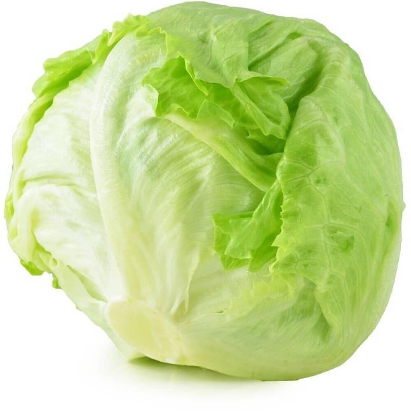 Lettuce - Iceberg - stalk