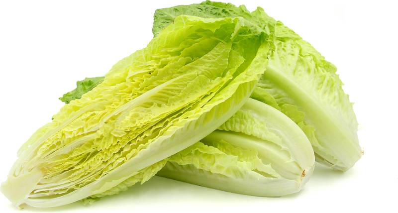 Lettuce - Romain Heart - 3 Pack