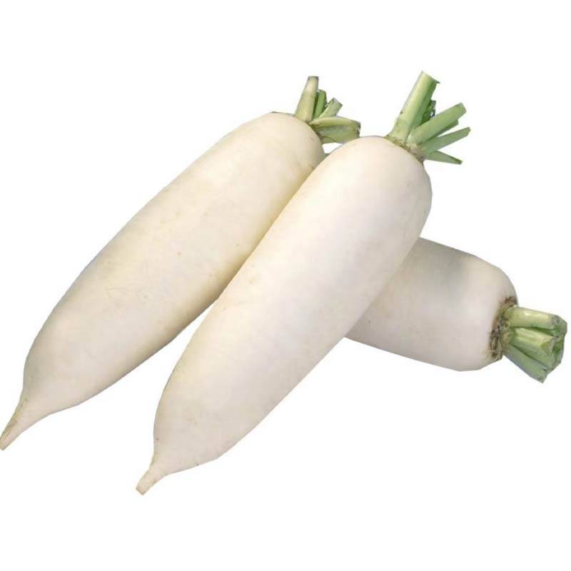 Lo Bok - Daikon Radish