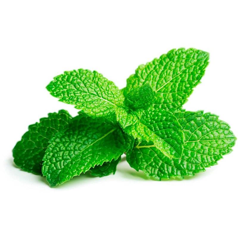 Mint - Bunched
