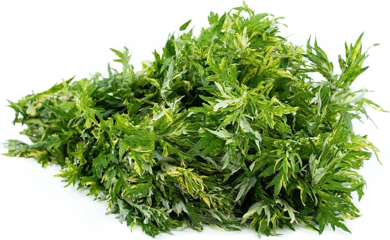 Mugwort - 1.5lb