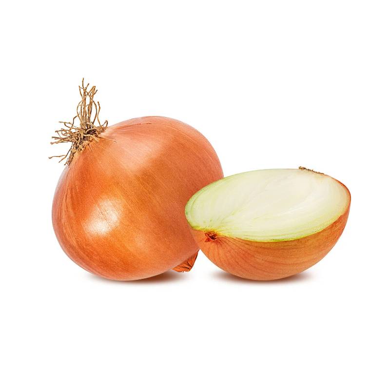 Onion - Yellow Jumbo - bulk single