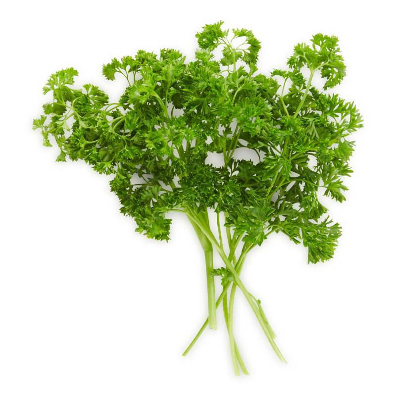 Curly Parsley - bunched