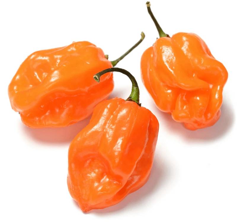 Pepper - Orange Habanero - 225g