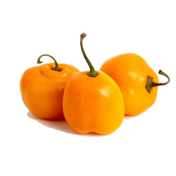 Pepper - Manzano - 225g