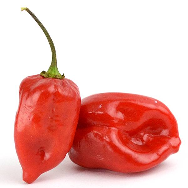 Pepper - Red Scotch Bonnet - 225g