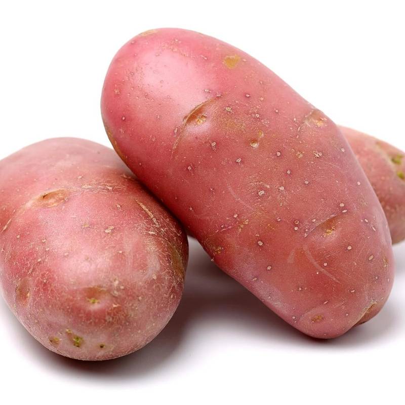 Potato - Red - bulk single
