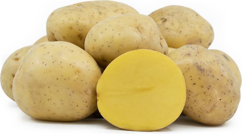 Potato - Yukon Gold - 2pc