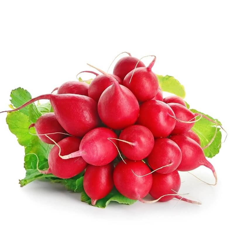 Radish - single bunched