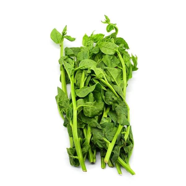 Saan Choy/Malabar Spinach - 1.5lb