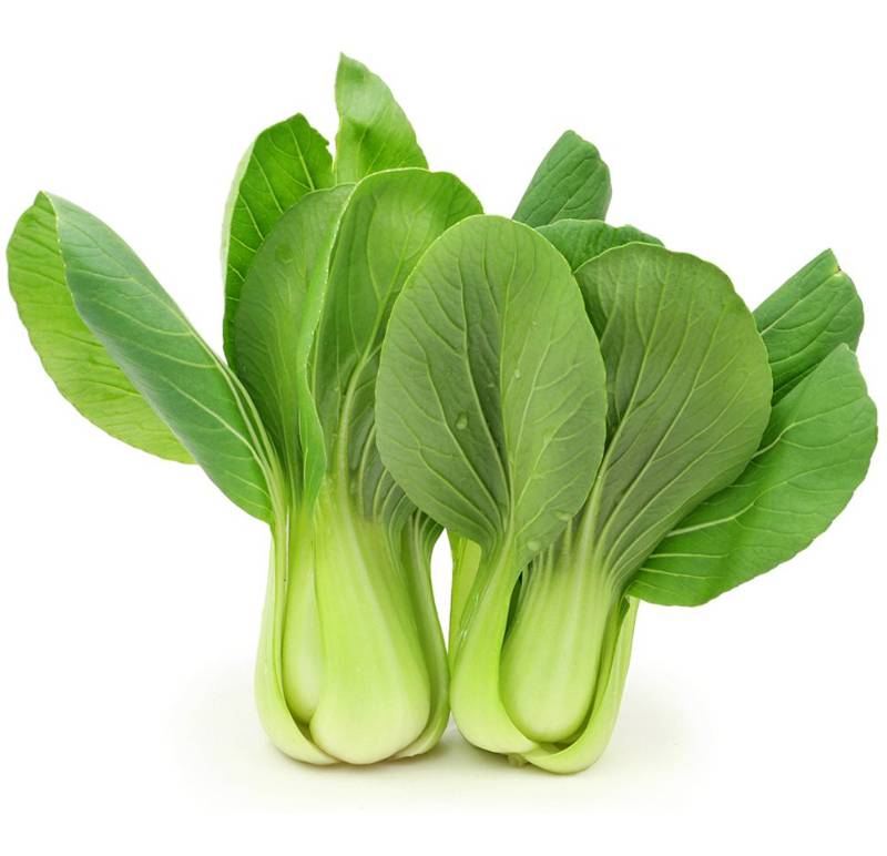 Shanghai Bok Choy - 1.5lb