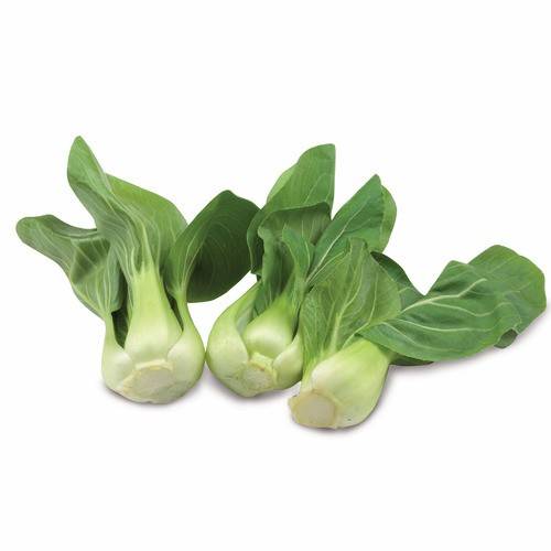 Shanghai Bok Choy - Baby - 1.5lb