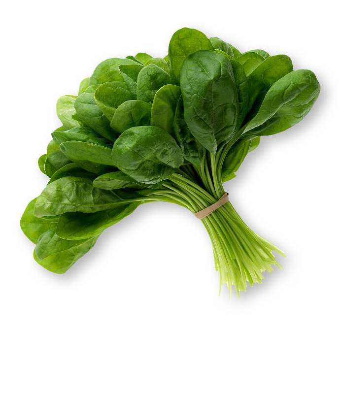 Spinach - Bunched