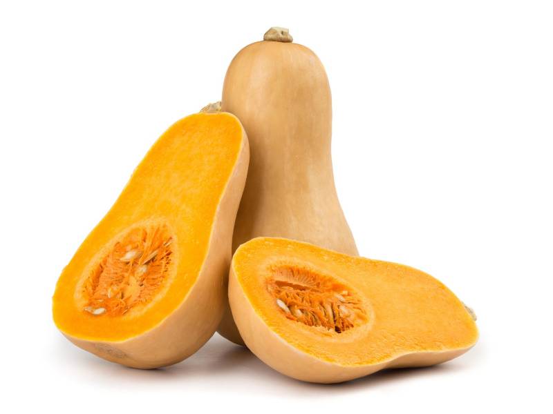 Squash - Butternut - whole