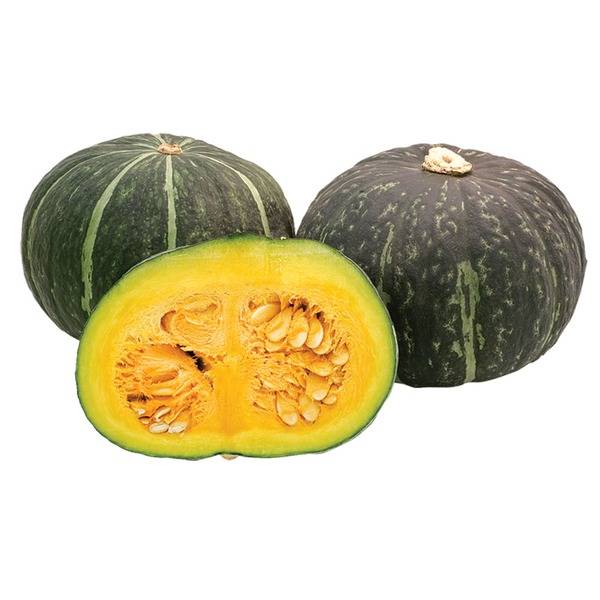 Squash - Kabocha - whole