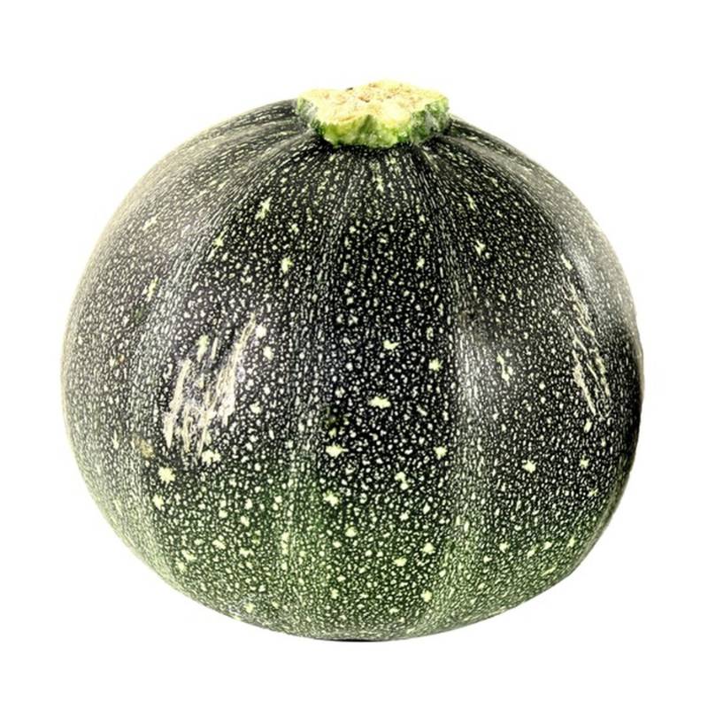 Tatume Squash - 1lb