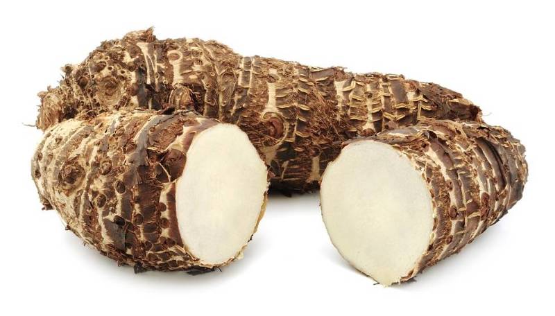 Taro Root - Large - single bulk