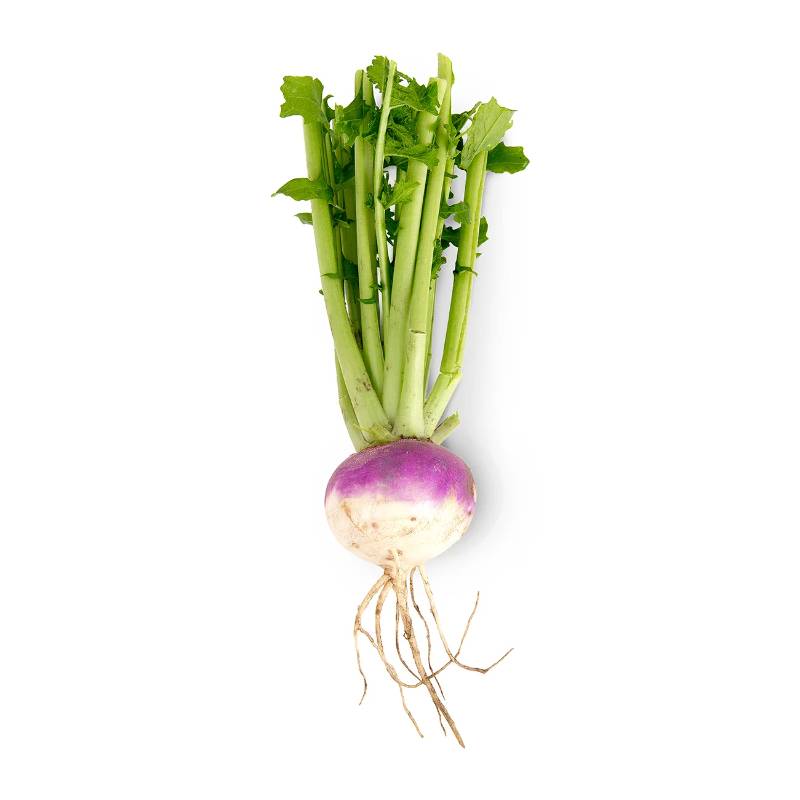 Turnip - bulk single
