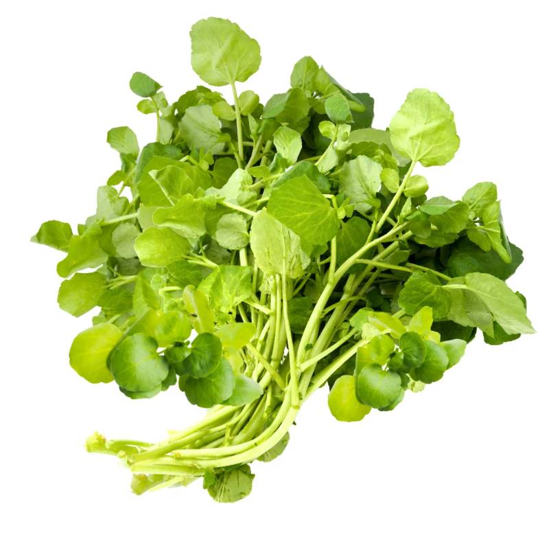 Watercress - bunched single